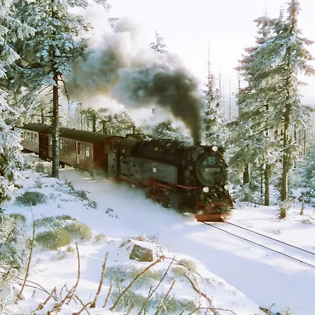 Appartement Pension Rosengarten Sangerhausen