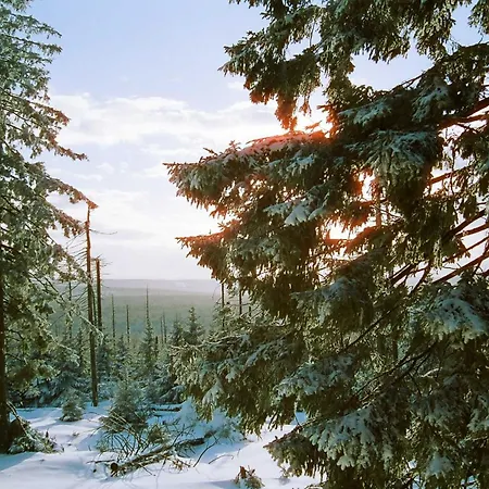 Pension Rosengarten Appartement Sangerhausen