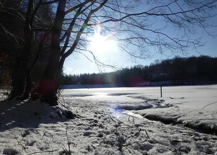 Pension Rosengarten Lejlighed Sangerhausen