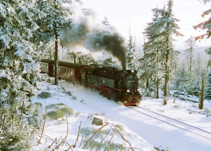 Lejlighed Pension Rosengarten Sangerhausen