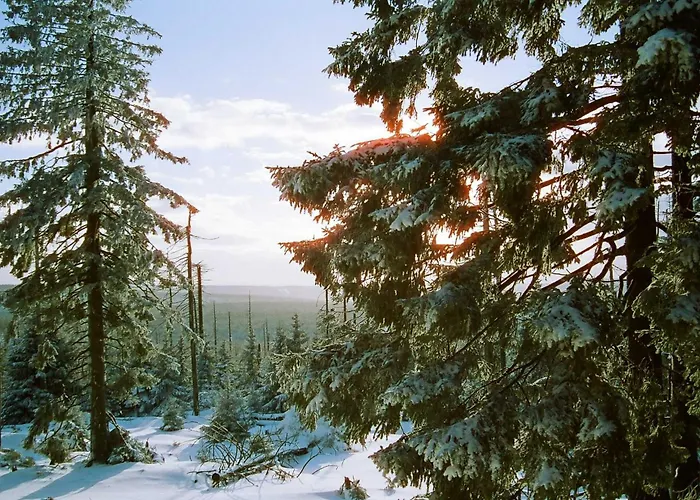 Pension Rosengarten Lejlighed Sangerhausen